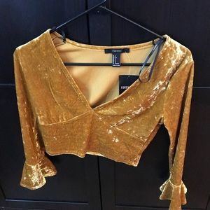 Gold Velvet F21 Crop Top